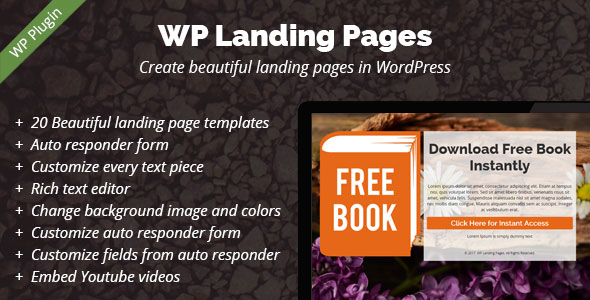 WordPress Touchdown Pages Professional (search engine marketing)