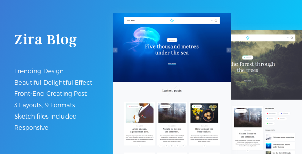 Zira – Up to date Having a look Blog Theme (Weblog / Journal)